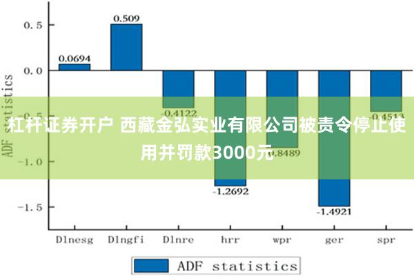 杠杆证券开户 西藏金弘实业有限公司被责令停止使用并罚款3000元