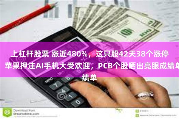 上杠杆股票 涨近480%，这只股42天38个涨停！苹果押注AI手机大受欢迎，PCB个股晒出亮眼成绩单