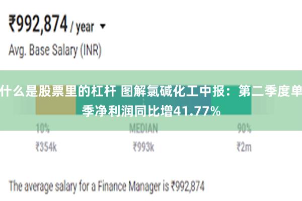 什么是股票里的杠杆 图解氯碱化工中报：第二季度单季净利润同比增41.77%