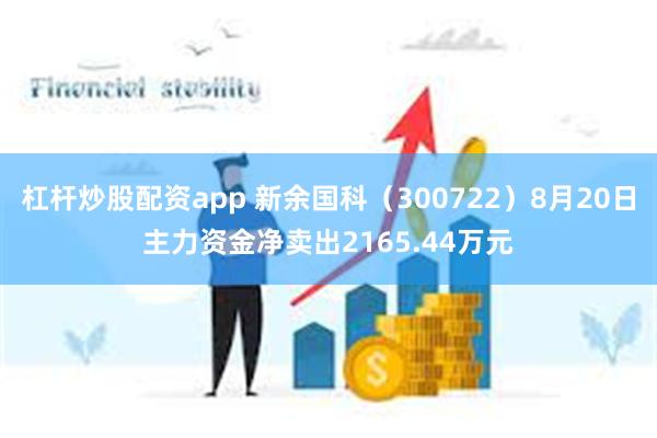 杠杆炒股配资app 新余国科（300722）8月20日主力资金净卖出2165.44万元