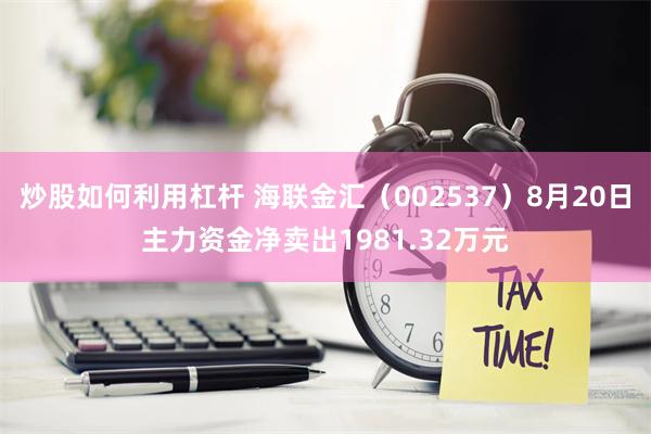 炒股如何利用杠杆 海联金汇（002537）8月20日主力资金净卖出1981.32万元