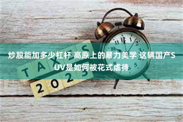 炒股能加多少杠杆 高原上的暴力美学 这辆国产SUV是如何被花式虐待