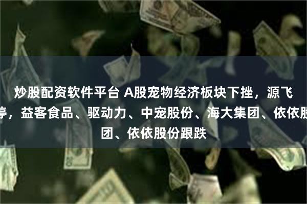 炒股配资软件平台 A股宠物经济板块下挫，源飞宠物跌停，益客食品、驱动力、中宠股份、海大集团、依依股份跟跌