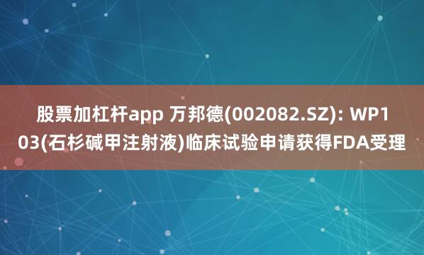 股票加杠杆app 万邦德(002082.SZ): WP103(石杉碱甲注射液)临床试验申请获得FDA受理