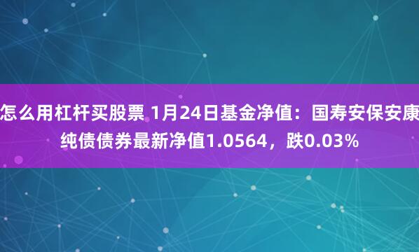 怎么用杠杆买股票 1月24日基金净值：国寿安保安康纯债债券最新净值1.0564，跌0.03%