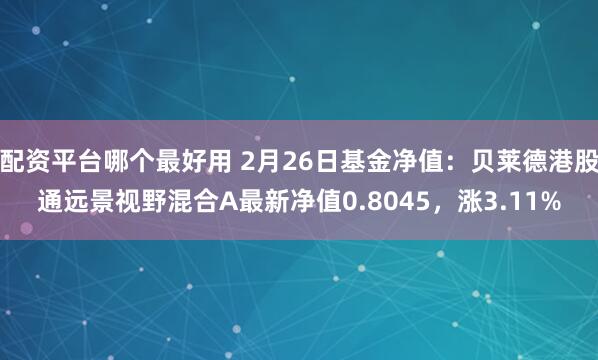 配资平台哪个最好用 2月26日基金净值：贝莱德港股通远景视野混合A最新净值0.8045，涨3.11%